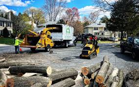 Best Tree Removal  in Labarque Creek, MO